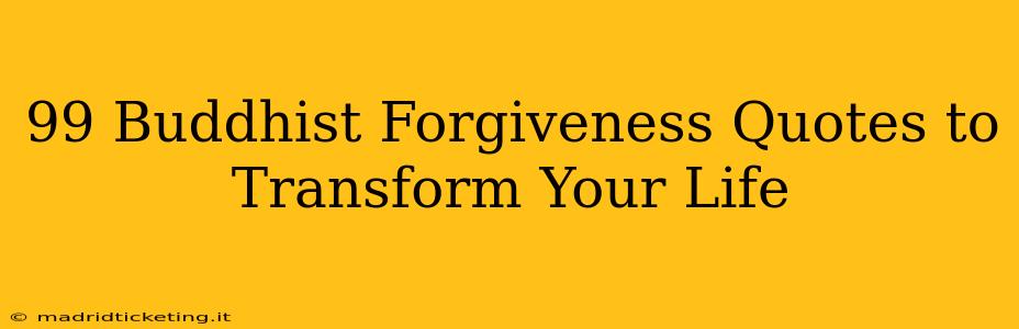 99 Buddhist Forgiveness Quotes to Transform Your Life
