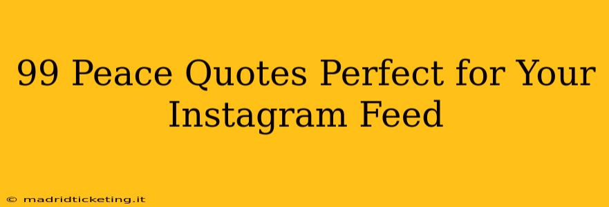 99 Peace Quotes Perfect for Your Instagram Feed