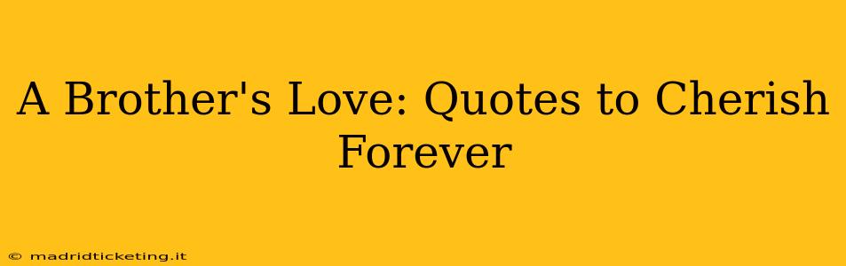 A Brother's Love: Quotes to Cherish Forever