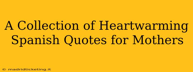 A Collection of Heartwarming Spanish Quotes for Mothers