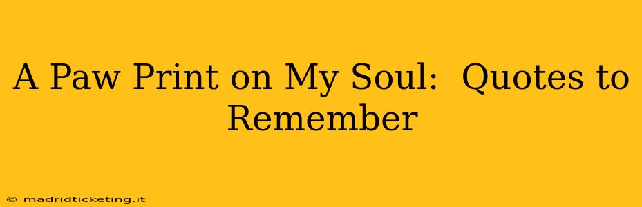 A Paw Print on My Soul:  Quotes to Remember