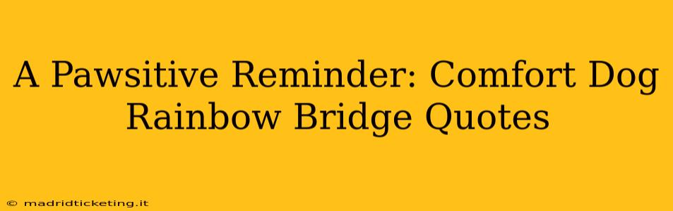 A Pawsitive Reminder: Comfort Dog Rainbow Bridge Quotes