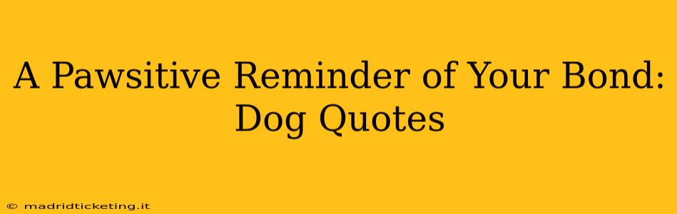 A Pawsitive Reminder of Your Bond: Dog Quotes