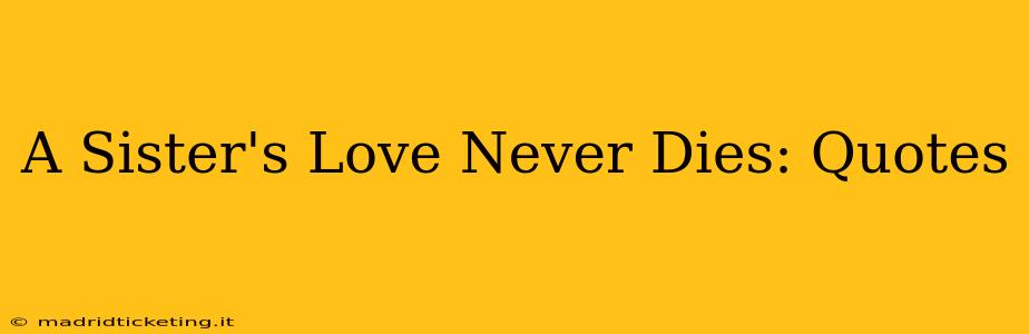 A Sister's Love Never Dies: Quotes