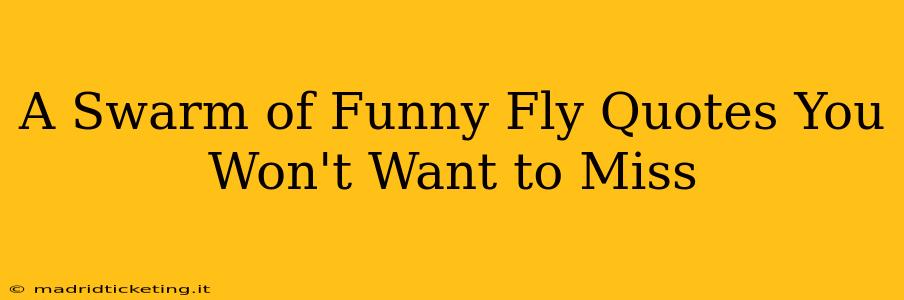 A Swarm of Funny Fly Quotes You Won't Want to Miss