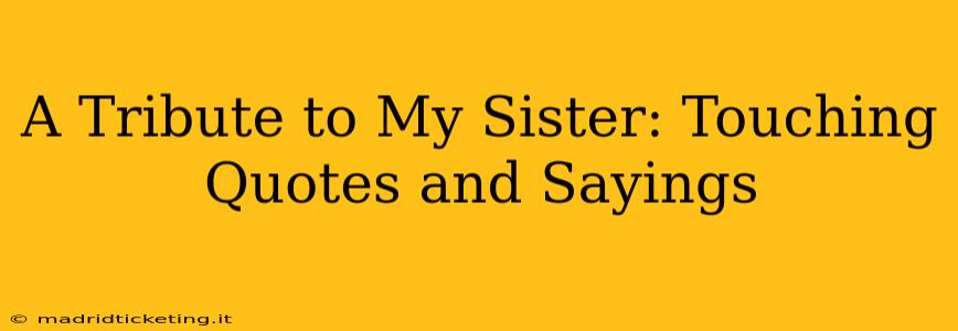 A Tribute to My Sister: Touching Quotes and Sayings