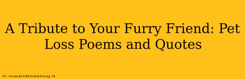 A Tribute to Your Furry Friend: Pet Loss Poems and Quotes