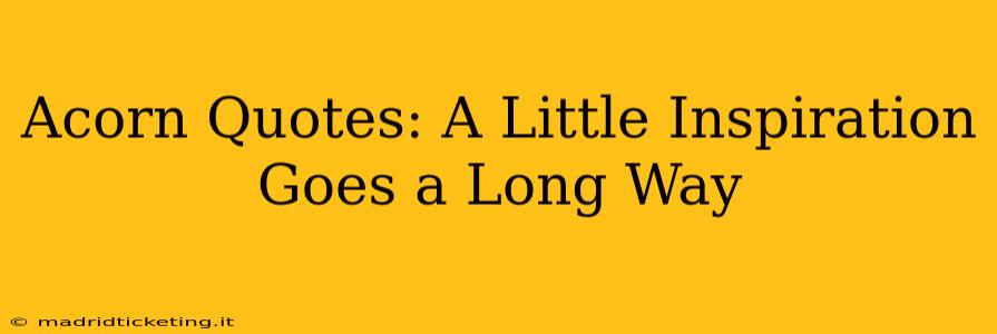 Acorn Quotes: A Little Inspiration Goes a Long Way