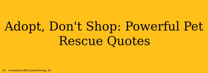 Adopt, Don't Shop: Powerful Pet Rescue Quotes