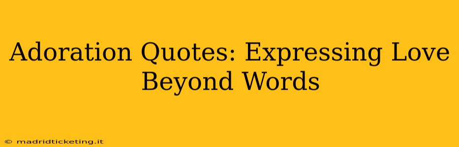 Adoration Quotes: Expressing Love Beyond Words