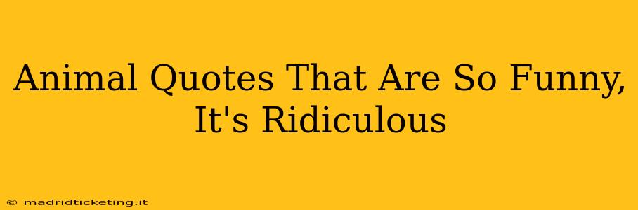 Animal Quotes That Are So Funny, It's Ridiculous