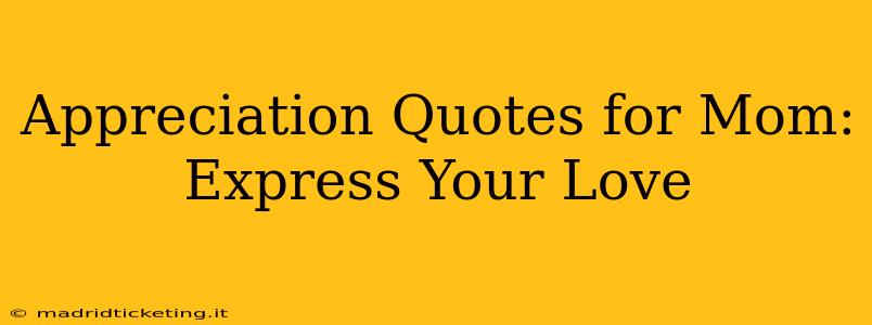 Appreciation Quotes for Mom: Express Your Love