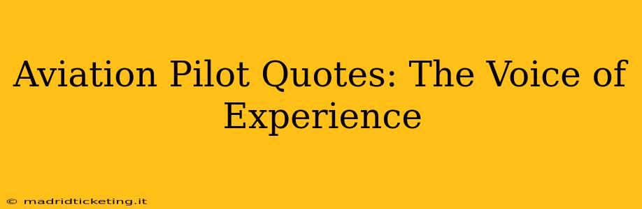 Aviation Pilot Quotes: The Voice of Experience