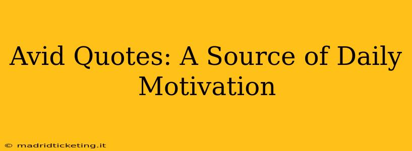 Avid Quotes: A Source of Daily Motivation