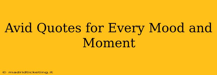 Avid Quotes for Every Mood and Moment
