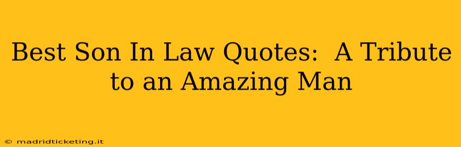 Best Son In Law Quotes:  A Tribute to an Amazing Man
