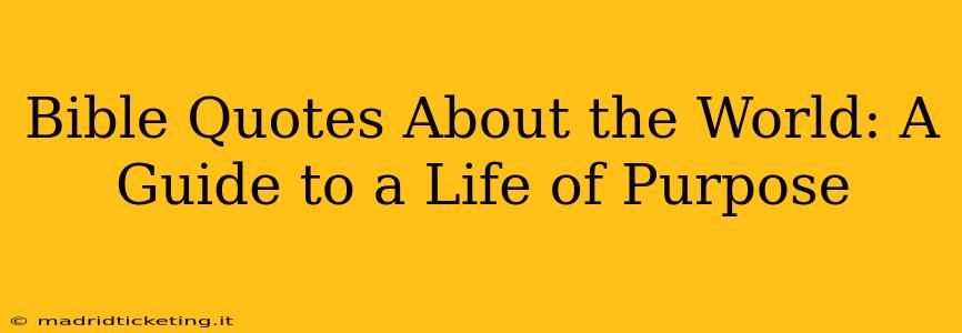Bible Quotes About the World: A Guide to a Life of Purpose