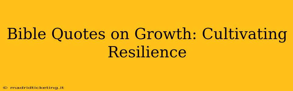 Bible Quotes on Growth: Cultivating Resilience