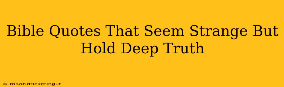 Bible Quotes That Seem Strange But Hold Deep Truth