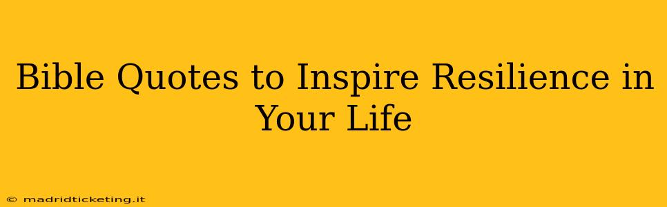 Bible Quotes to Inspire Resilience in Your Life