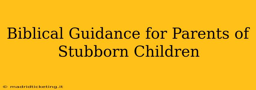 Biblical Guidance for Parents of Stubborn Children