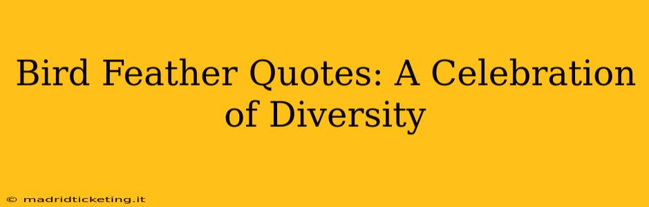 Bird Feather Quotes: A Celebration of Diversity