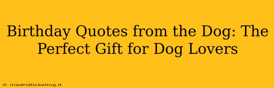 Birthday Quotes from the Dog: The Perfect Gift for Dog Lovers