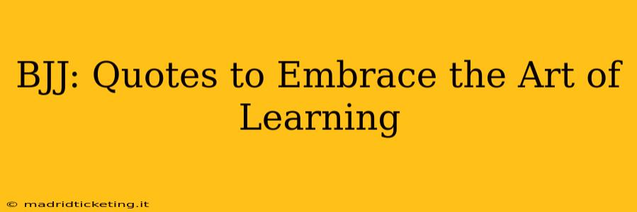 BJJ: Quotes to Embrace the Art of Learning