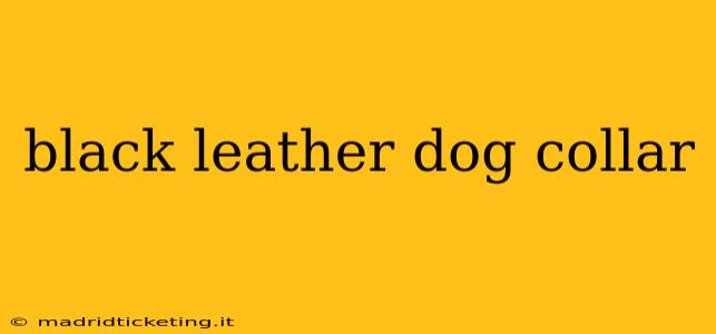black leather dog collar