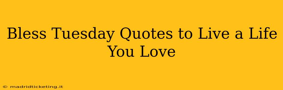 Bless Tuesday Quotes to Live a Life You Love