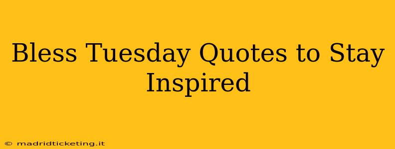 Bless Tuesday Quotes to Stay Inspired