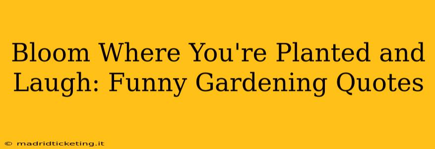 Bloom Where You're Planted and Laugh: Funny Gardening Quotes