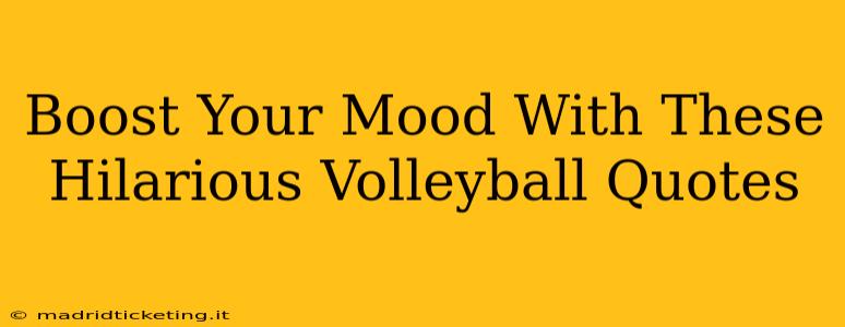 Boost Your Mood With These Hilarious Volleyball Quotes