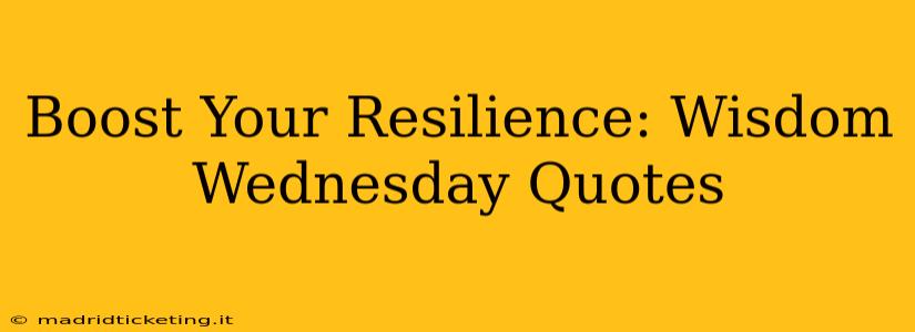 Boost Your Resilience: Wisdom Wednesday Quotes