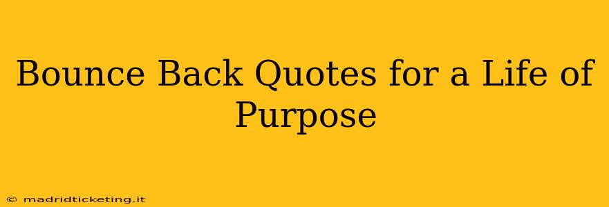 Bounce Back Quotes for a Life of Purpose