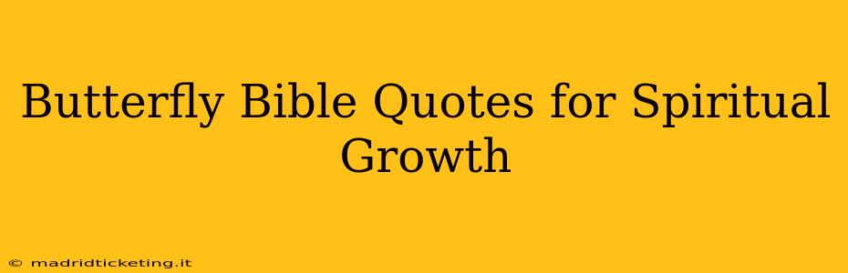 Butterfly Bible Quotes for Spiritual Growth