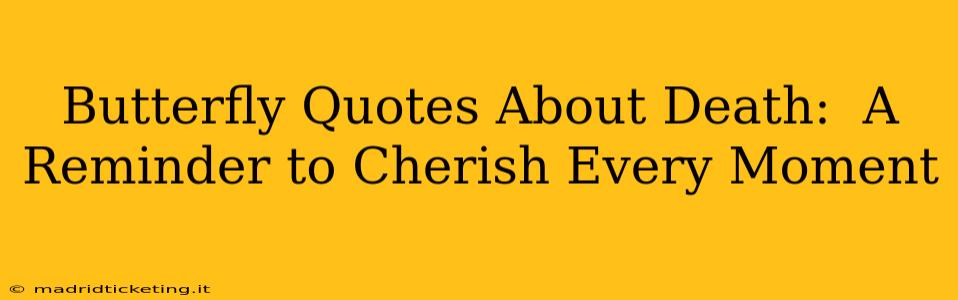 Butterfly Quotes About Death:  A Reminder to Cherish Every Moment