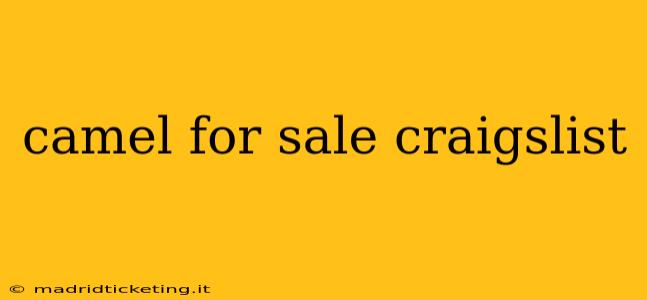 camel for sale craigslist