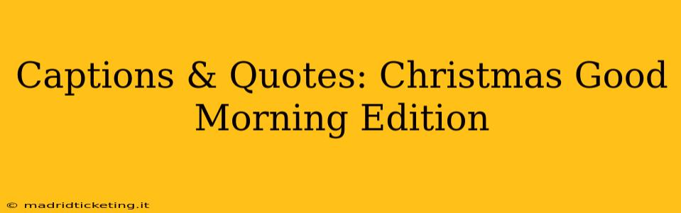 Captions & Quotes: Christmas Good Morning Edition