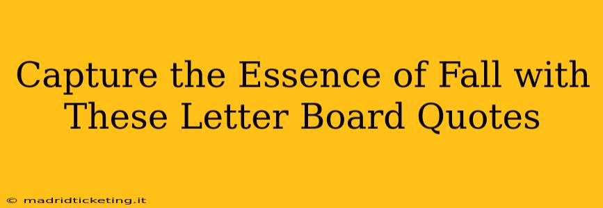 Capture the Essence of Fall with These Letter Board Quotes
