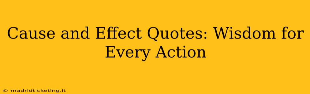 Cause and Effect Quotes: Wisdom for Every Action