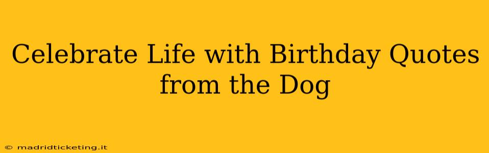 Celebrate Life with Birthday Quotes from the Dog