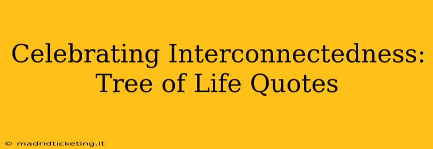 Celebrating Interconnectedness: Tree of Life Quotes