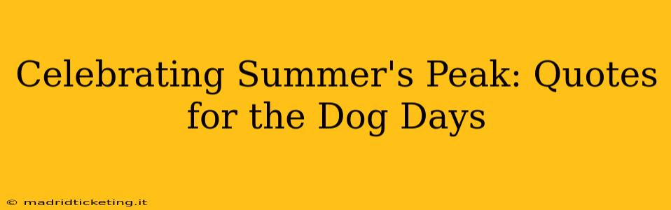 Celebrating Summer's Peak: Quotes for the Dog Days