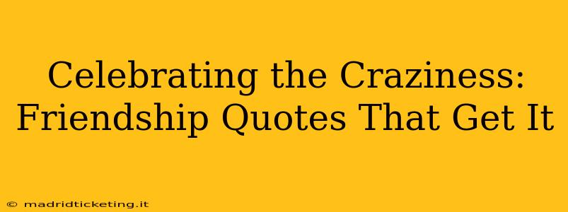 Celebrating the Craziness: Friendship Quotes That Get It