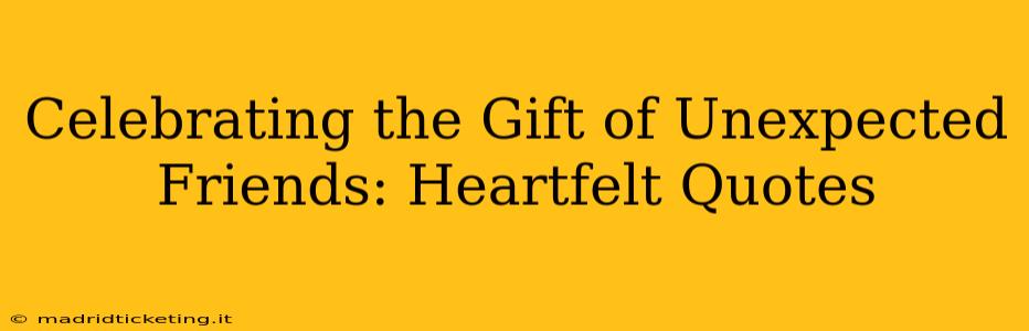 Celebrating the Gift of Unexpected Friends: Heartfelt Quotes