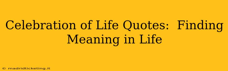 Celebration of Life Quotes:  Finding Meaning in Life