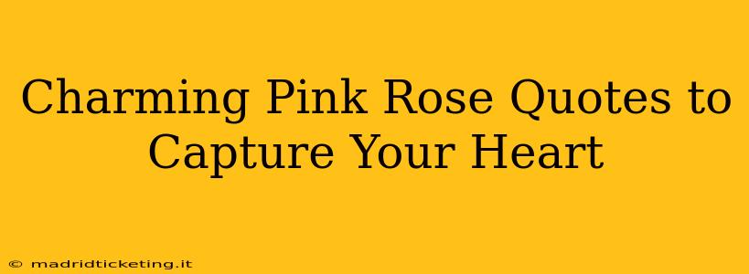 Charming Pink Rose Quotes to Capture Your Heart