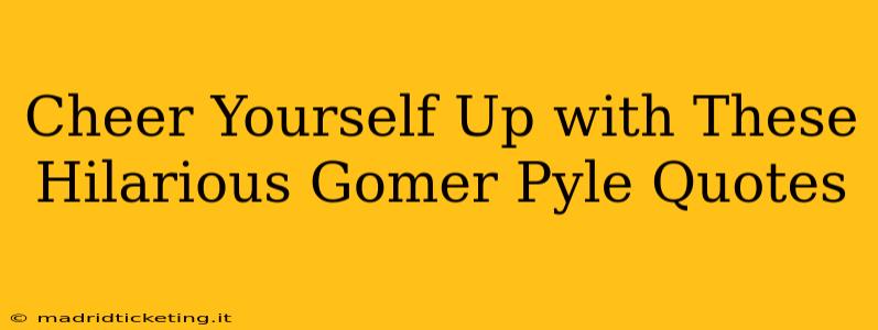 Cheer Yourself Up with These Hilarious Gomer Pyle Quotes