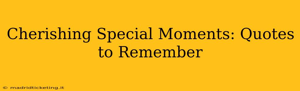 Cherishing Special Moments: Quotes to Remember